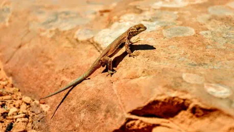 Is Federal Protection of the Dunes Sagebrush Lizard Justified?