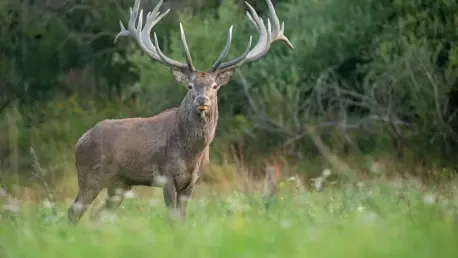 Trend Analysis: Wildlife Conservation Policies