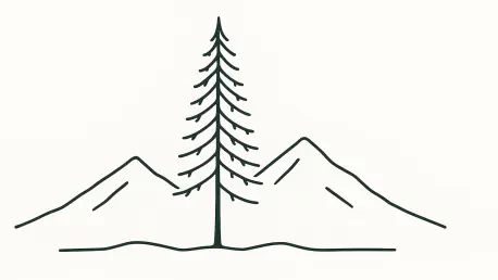 Will the 2026 Roadless Rule Rescission Endanger US Forests?